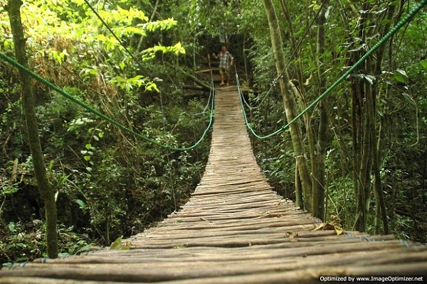 Hanging Bridge Jungle