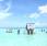 Saona Island - The best excursion available