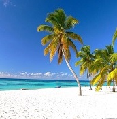 Saona Island: dream beaches