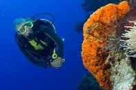 Diving Punta Cana