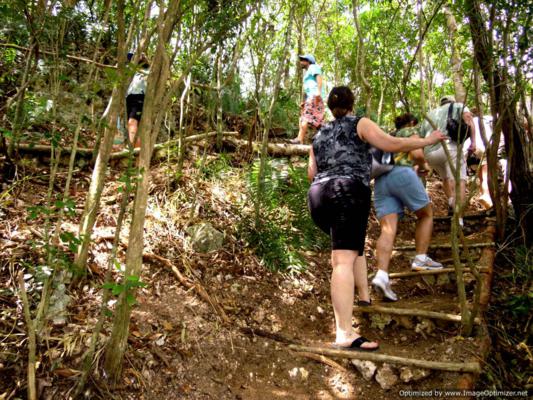 Jungle Hike National Park