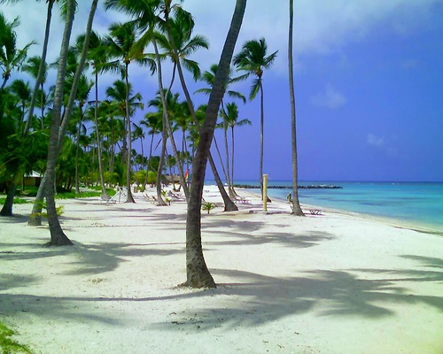 Beach Punta Cana